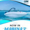Dolphin Speed Boats NOW in Marina 7